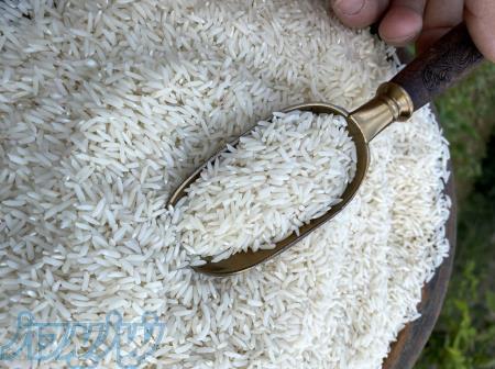 خرید برنج ایرانی اصل از تولیدکننده 