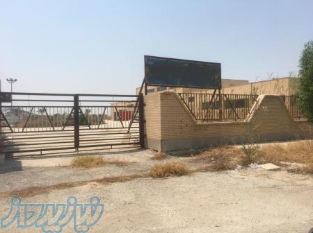 فروش کارخانه کنسرو تن ماهی 