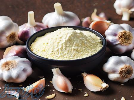 طعم دهنده پودری متفاوت سیر و خامه 