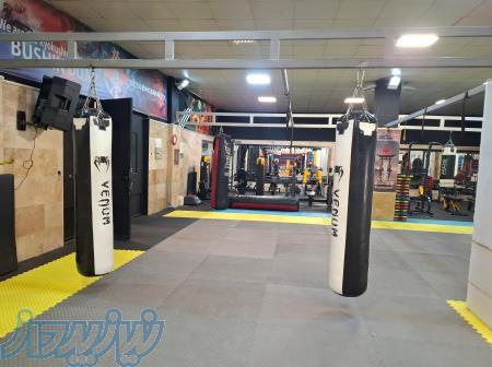 مربی بوکس آموزش بوکس 