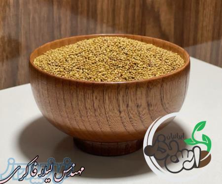 فروش بذر یونجه (ارس بذر ایرانیان) 