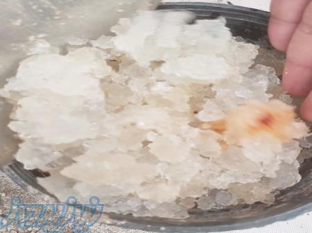 جشنواره تابستانه هیدروژل کشاورزی؛ فرصتی ویژه برای صرفه‌جویی در آب و هزینه‌ها 