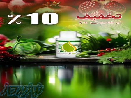 فروش ویژه رنگ سبز کلروفیل ویژه سس پستو و آووکادو 