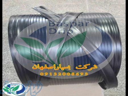 نوارتیپ پلاک‌دار ممتد 