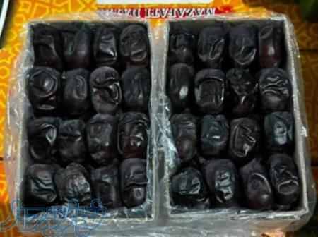 قیمت خرما مضافتی  فروش عمده باورنکردنی 