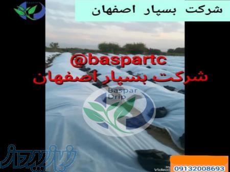 کاور ضد سرما 