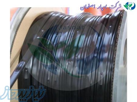 نوارتیپ پلاک دار ممتد 