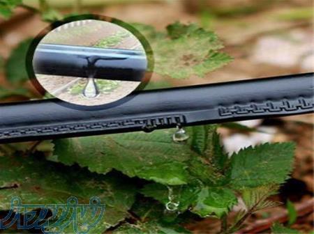 نوارتیپ پلاک دار 