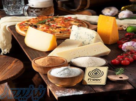 طعم دهنده پنیری پودری فریر 
