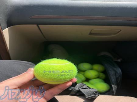 فروش توپ تنیس و پدل از برند های اصل آدیداس و هد 