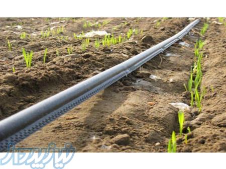 نوار تیپ پلاک دار 