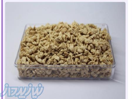 سویای انسانی 