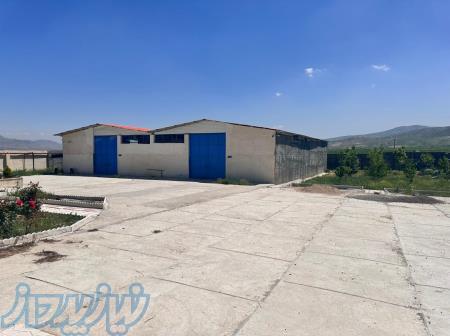 تهاتر یا سرمایه گذار 