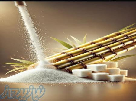 صباتجارت تأمین شکر 