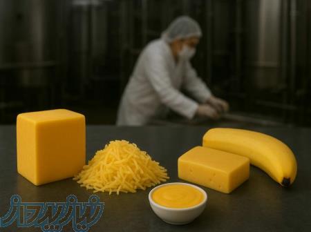    درخشش طبیعی رنگ در پنیر پیتزا با کورکومین و آناتو فریر 