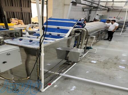 خط تولید محصولات نیمه اماده منجمد و فرنچ فرایز 