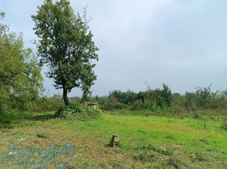 فروش باغ ویلای 9000متری شرق گیلان 