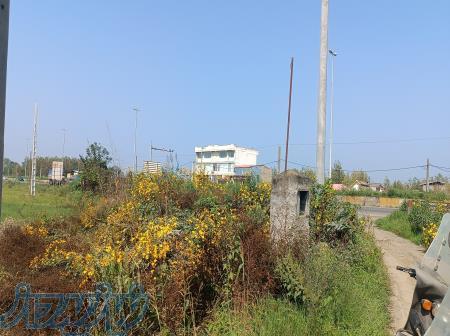 فروش زمین در شاهراه رشت چالوس 