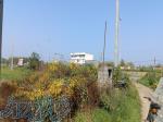 فروش زمین در شاهراه رشت چالوس 