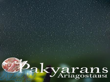 خدمات نظافتی پاکیاران اریاگستر