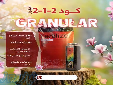 فروش کامل گرانول سبزینه مارال 