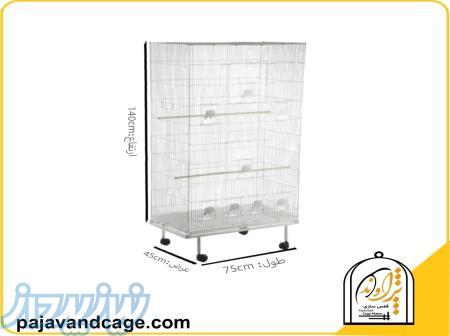 قفس عروس هلندی 