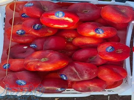 فروشگاه میوه میتاش 