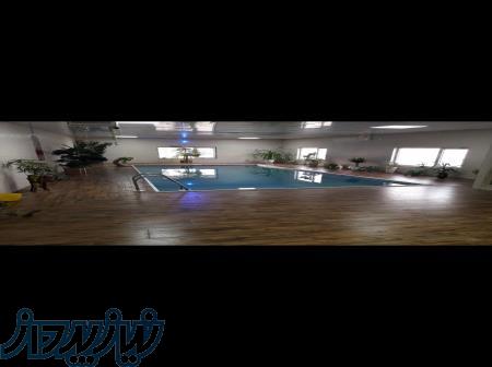 دامداری صنعتی 