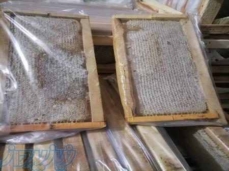 توزیع و عرضه عسل موم دار و شهد سبلان به صورت عمده 