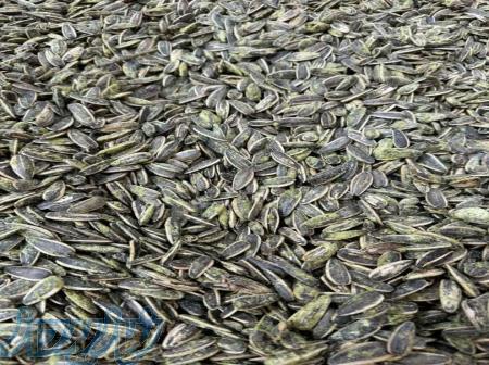 طعم دهنده طبیعی رنچ مناسب برای تخمه 