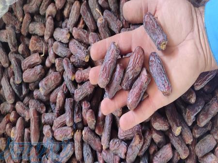 خرما پیاروم 