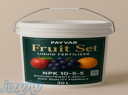 فروت ست پایور نگین 