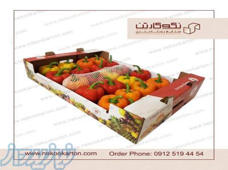 تولید انواع کارتن صادراتی میوه و سبزیجات 