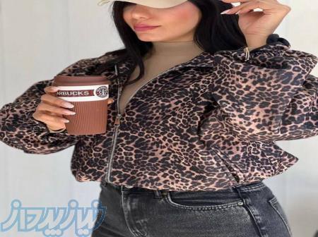 تولیدی پوشاک پاشا 