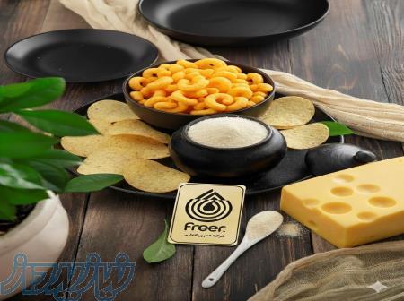    طعم‌دهنده‌های پودری فریر؛ مزه‌ای که محصول شما را متمایز می‌کند! 