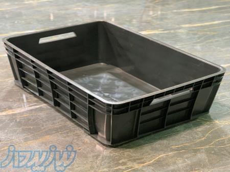 سبد درجه دو 40 کیلویی ماهی 