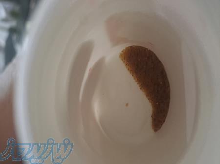 فروشنده یک گرم کالیفورنیوم خاموش 