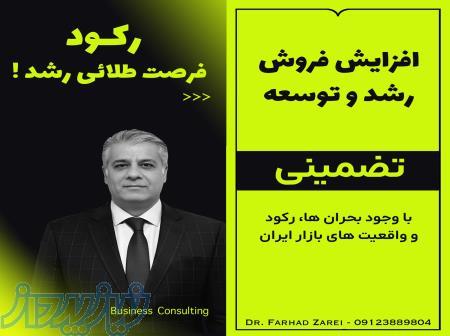     افزایش فروش، رشد و توسعه     