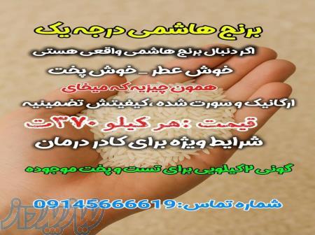 فروش برنج هاشمی ارگانیک درجه یک گیلان 
