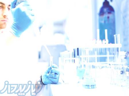 فروش سوربیتول پودری و مایع ، وارد کننده سوربیتول 