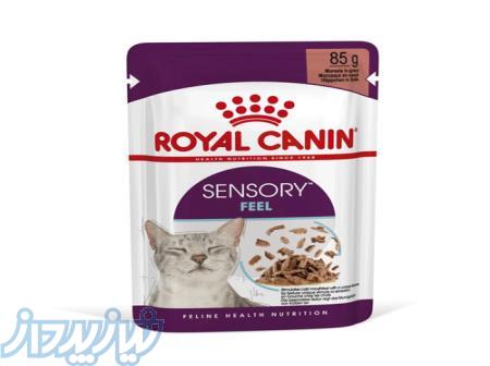 پوچ رویال کنین سنسوری فیل برای گربه بد غذا (85 گرم) 