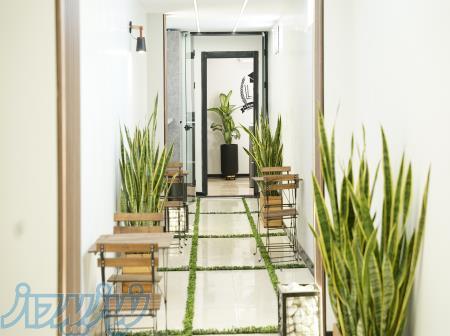 زبان انگلیسی 