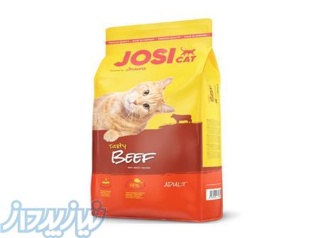 غذا خشک گربه بالغ جوسرا مدل جوسی کت طعم گوشت 