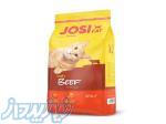 غذا خشک گربه بالغ جوسرا مدل جوسی کت طعم گوشت 