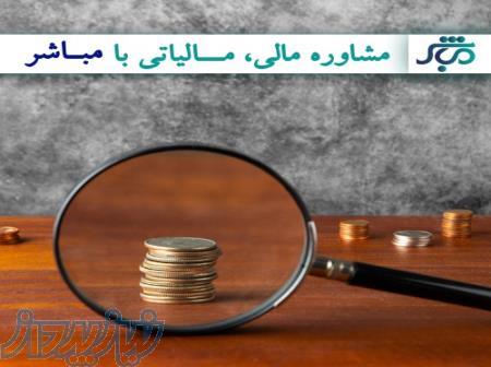 مشاور مالی و مالیاتی با مباشر 
