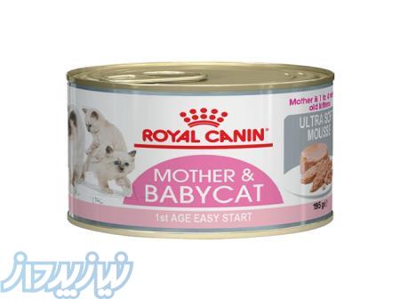کنسرو رویال کنین مخصوص بچه گربه و مادر (195 گرم) 