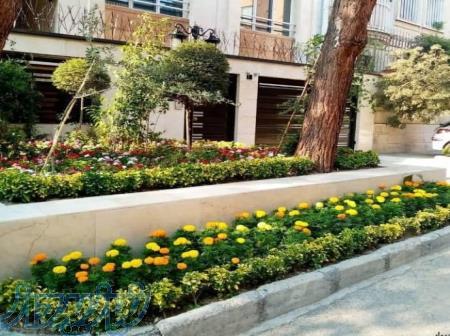 انجام خدمات باغبانی در سعادت آباد 