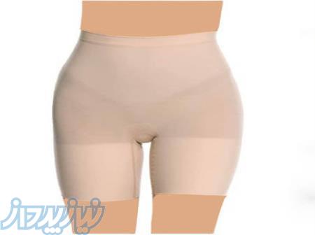 گن زنانه و مردانه اصل 