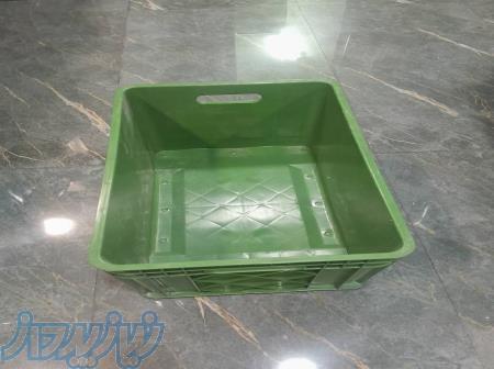 سبد ماهی باسکت ماهی صندوق ماهی 