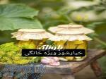 مواد غذایی 